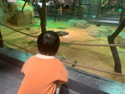 -酷嗒动物文化乐园(cutezoo西溪乐天城店)