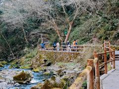 -溪口-滕头旅游景区