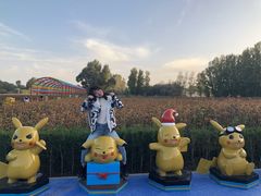 -金塔沙漠胡杨林景区