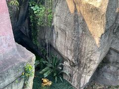 -广州莲花山旅游区