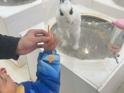 -Moni星球萌宠·小马宝莉·灵蛇·高端高阶全萌宠互动体验俱乐部(红豆国际广场店)