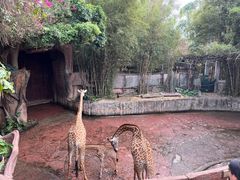-长鹿旅游休博园