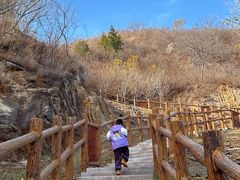 -白水寺森林公园