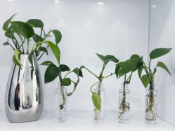 -靓芙泉专研痘痘肌