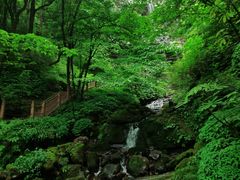 -瓦屋山景区
