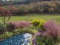 -苏州上方山国家森林公园