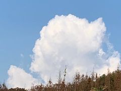 -金海湾滨江公园