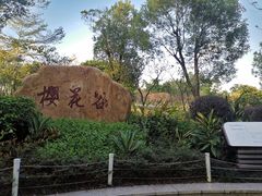 -聚龙山公园