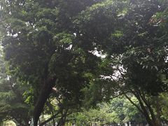 -兆祥公园