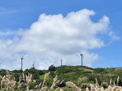 -南麂列岛