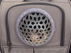 -四月宠物医院·猫专科·心脏专科·内科(转塘店)