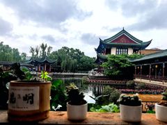 -MAP CHA普洱茶馆(翠湖店)