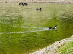 -松花湖风景名胜区