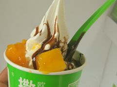 -Salud撒露欧洲冻酸奶(798艺术区店)