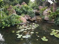 -晓港公园