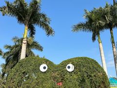 -东南花都花博园