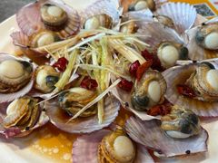 -1937青岛老味道·海肠捞饭·青岛菜(大鲍岛栈桥店)