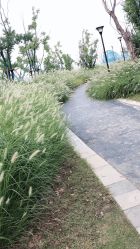 点击看大图 -壹加壹医疗美容·轻医美·美容外科