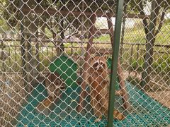 -瑞博尔花园酒店(太周创新产业园店)