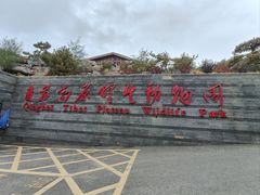 -青藏高原野生动物园
