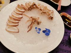 冻原条鲜鱿鱼-惠食佳·朱雀(东方商厦店)