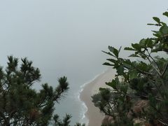 -棒棰岛宾馆景区