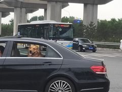 -望湘园·洞庭渔宴(永旺店)