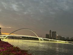 -珠江夜游广州塔·中大码头