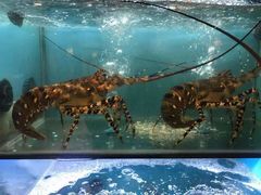 -南海渔家•海鲜•正宗海南菜(海棠湾店)