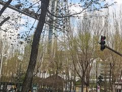 -龙塔