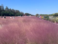 -嘉北郊野公园