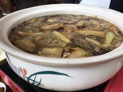 -马帮菜馆·美味野生菌