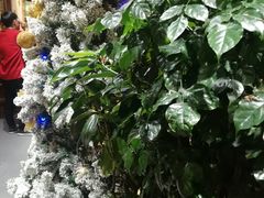 -草原塞蛮羊火锅城(港湾店)