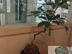 -周家二小姐的菜·扬州菜·香炒蟹·狮子头(江都金鹰店)