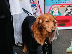 -老外街