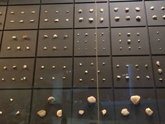 -北京周口店北京人遗址博物馆