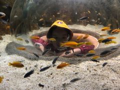 -i2青少儿英语(爱加星悦荟店)