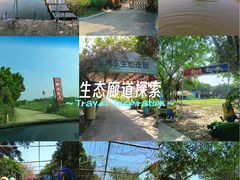 -天下先生态园农庄CS团建露营地(海鸥岛店)