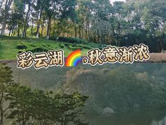 -重庆彩云湖湿地公园