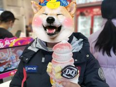 -DQ·蛋糕·冰淇淋(天通苑华联店)