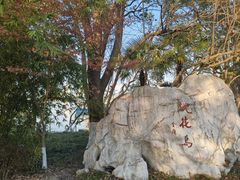 -金鸡湖桃花岛
