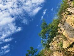 -武陵山森林公园