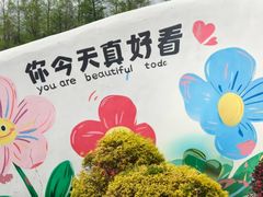 -荷兰花海