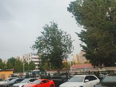 -北京派仕佳德动物医院·超导核磁·CT·神经科·骨科·内外科·急重症管理中心