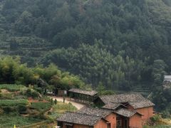 -杨家堂村