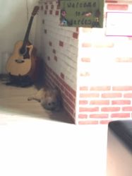 -巴黎婚纱摄影工作室