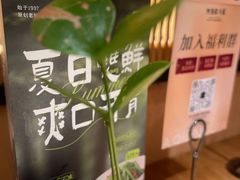 -阿强家川菜·29年老字号(岗顶店)