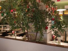 -Aqua Oasis 水天堂(太湖中心mall店)