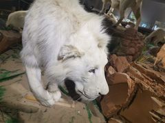 -陕西自然博物馆