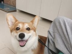 -美联众合24小时·皮肤科·外科·全科诊疗中心(华苑分院)
